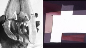 ÖFFENTLICHE FÜHRUNG | Hanna Stiegeler & Sarah Entwistle