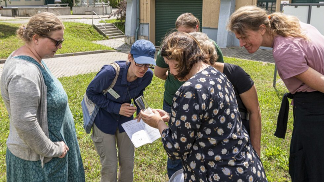 Artenkenntniskurs Wildbienen II – Fortgeschrittene