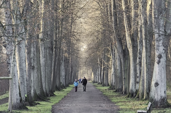 What's happening in January 2026? - Events in Bremen