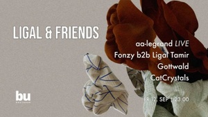 Ligal & Friends / live concert & djs
