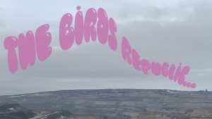 THE BIRDS REPUBLIC