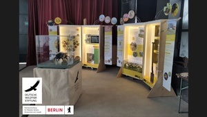 Wildbienen-Ausstellung der Deutschen Wildtier Stiftung