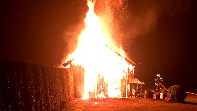 DANJU - Stoned Ohne Grund Anniversary Tour - Nachtleben Frankfurt