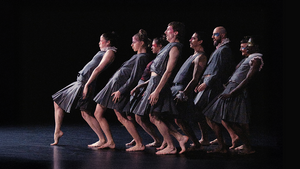 Cocoondance Company