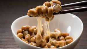 Disgusting Food Museum