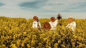 Vígljós