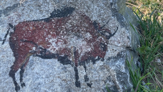 Naturmärchen-Wanderung