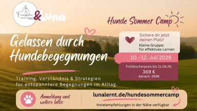 Gelassen durch Hundebegegnungen - Luna Lernt Sommercamp