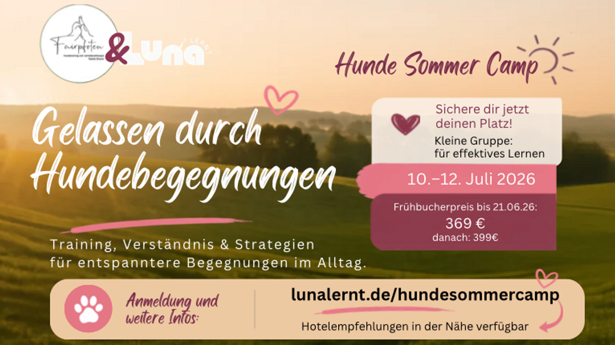 Gelassen durch Hundebegegnungen - Luna Lernt Sommercamp