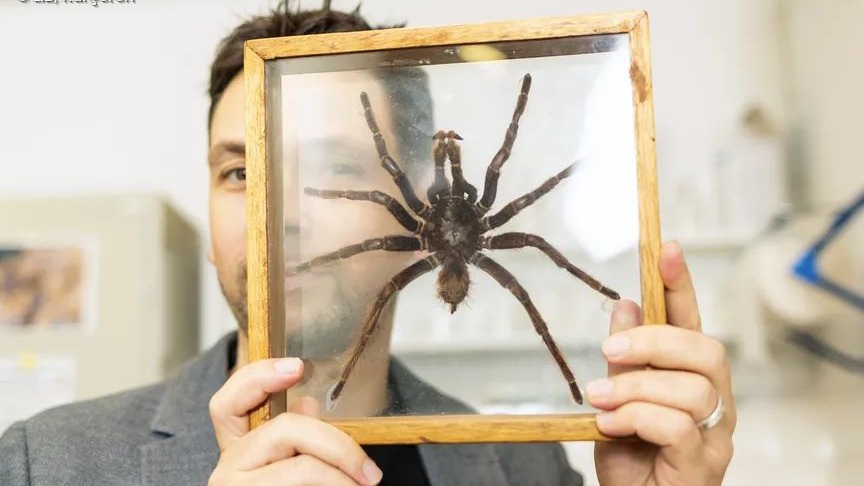 Achtung Artenvielfalt! Tandemführung Natur in der Kunst – Kunst in der Natur