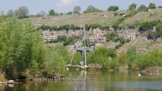 Naturerlebnis Neckar