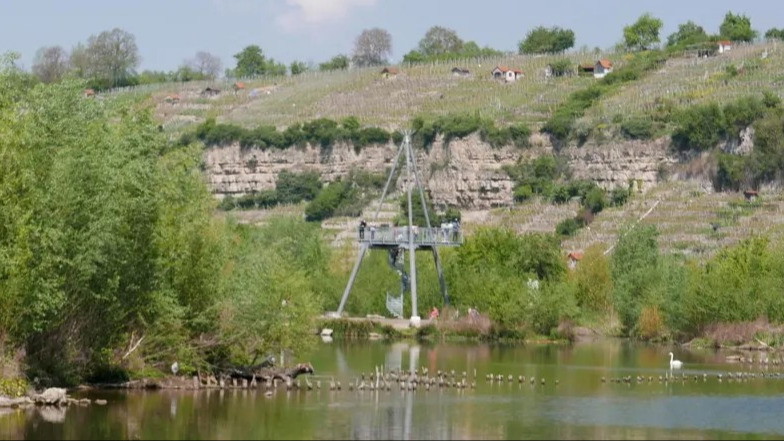 Naturerlebnis Neckar