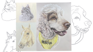 Pet Portraits: Draw your own pet!