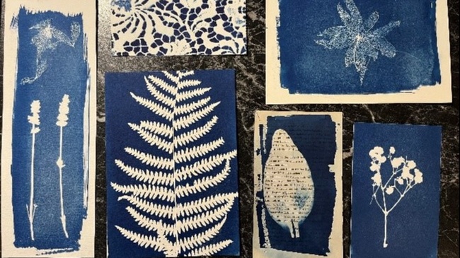 Kunst im Kiez - Cyanotypie - Magie des Blauen Lichts
