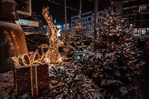 Lucia Weihnachtsmarkt in der Kulturbrauerei Berlin