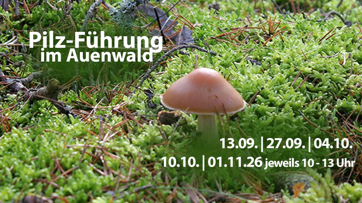 Titelbild der Veranstaltung Pilz-Führung im Auenwald