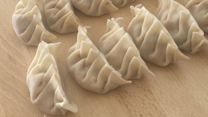 Vegan Dumplings Hangout Session