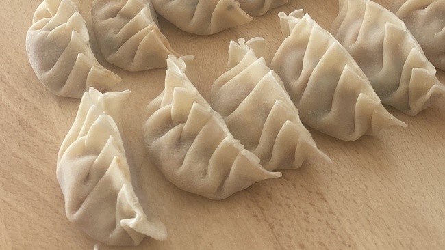 Vegan Dumplings Hangout Session