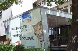 Museum der Natur Hamburg - Zoologie