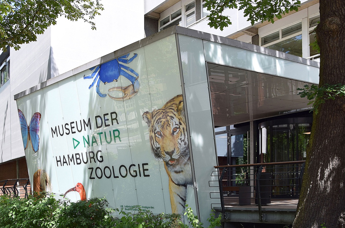 Museum der Natur Hamburg \u002D Zoologie