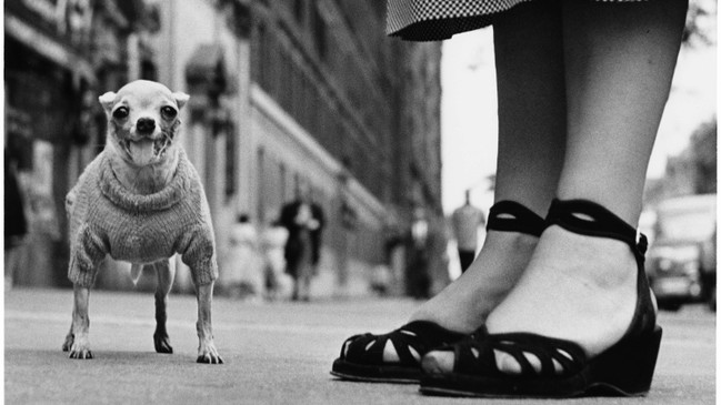 Elliott Erwitt: „People, Places, Moments“