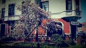 Gastfeld-Kneipenquiz mit Sebastian