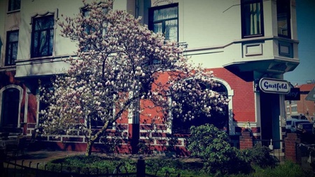 Gastfeld-Kneipenquiz mit Sebastian