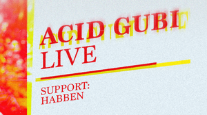 I’m In Love präsentiert: ACID GUBI (Live) im 674FM Club