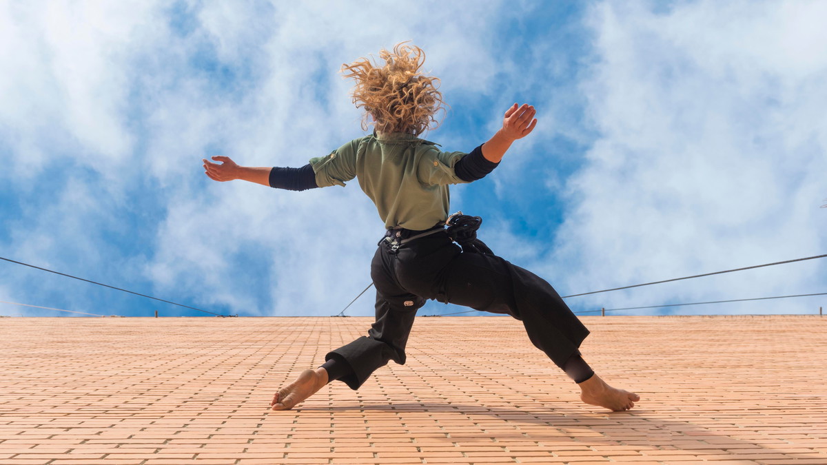 Titelbild der Veranstaltung VERTICAL DANCE WORKSHOP - für Einsteiger:innen in Bremen