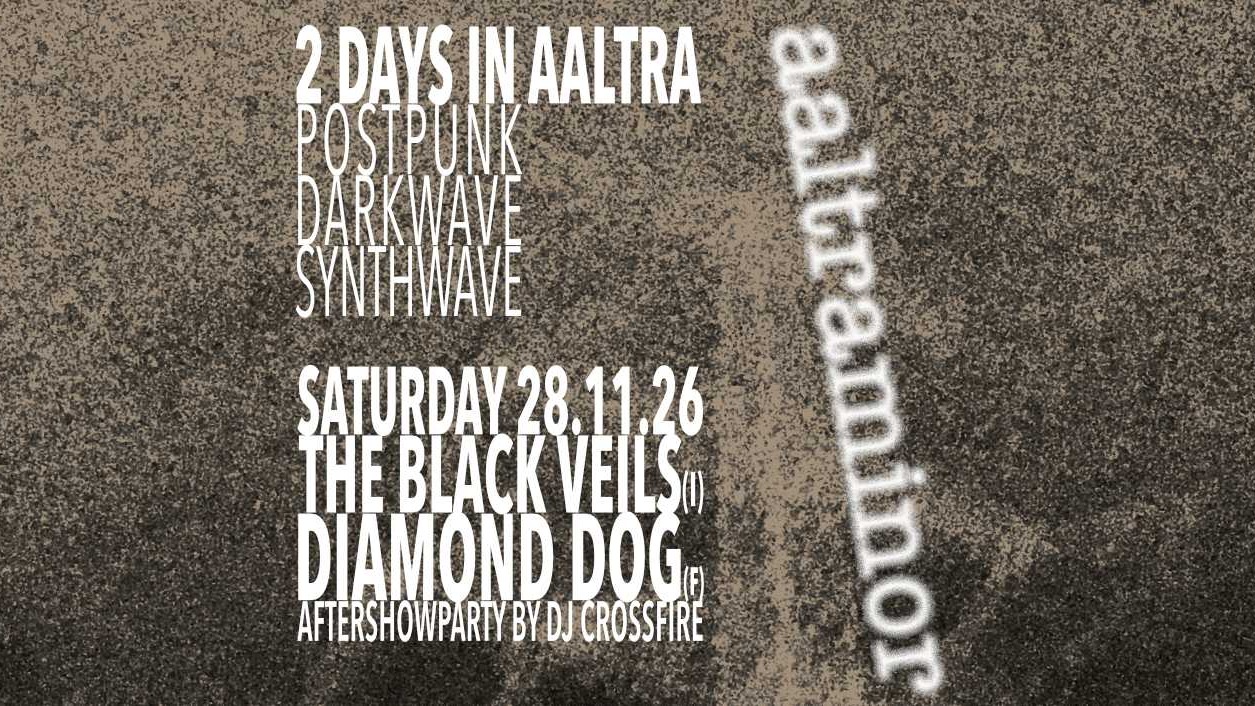 aaltraminor Tag 2 mit The Black Veils (I) und Diamond Dog (F)