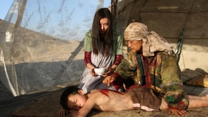 Баксы Native Dancer