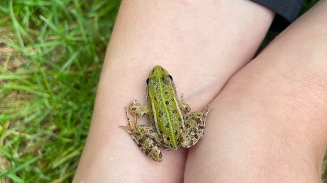 Klima-Ferienwoche in den Sommerferien