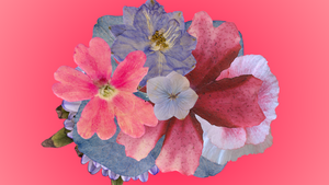 BOUQUET