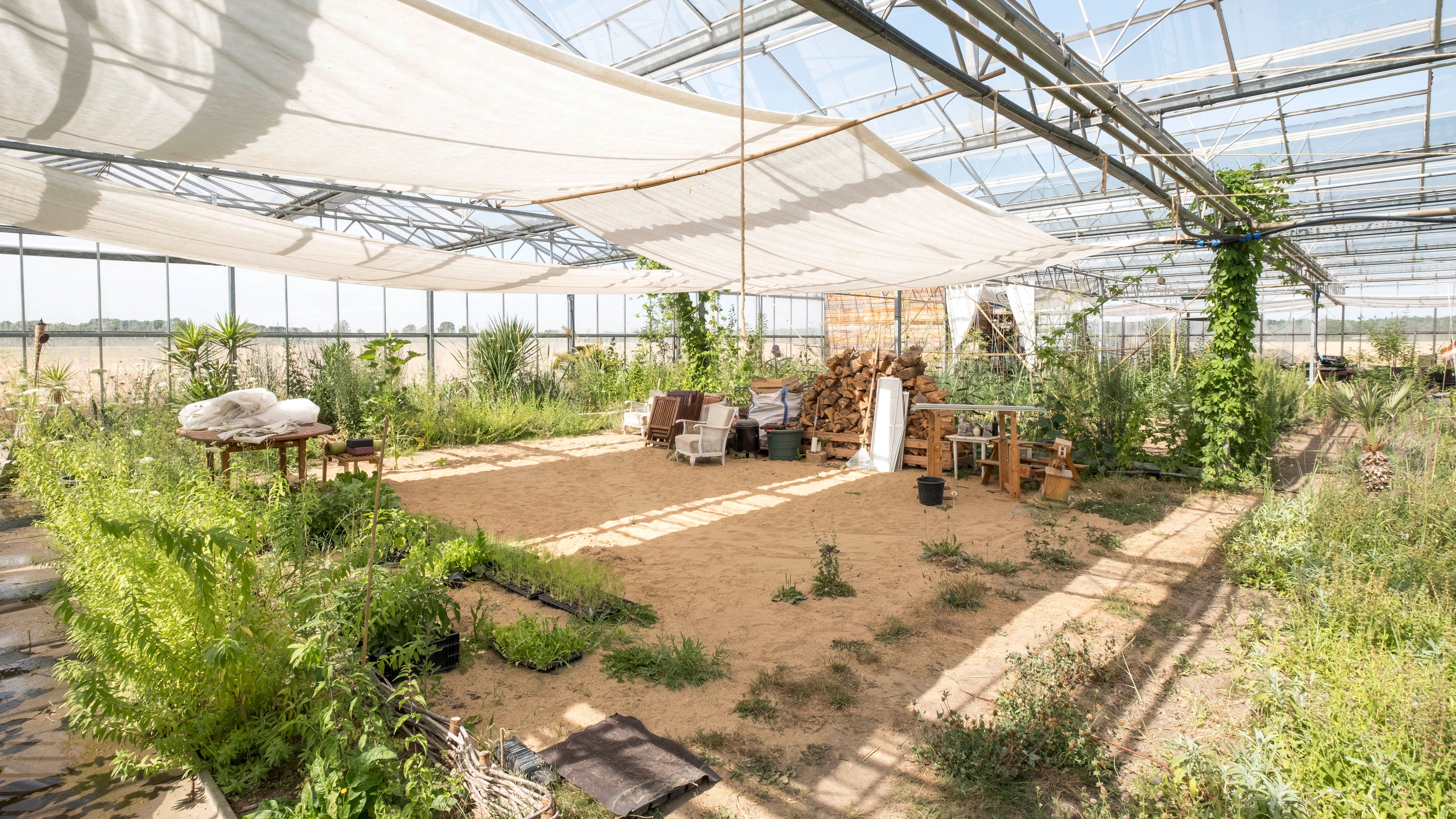 Yoga Workshop im Gewächshaus im Westen von Köln