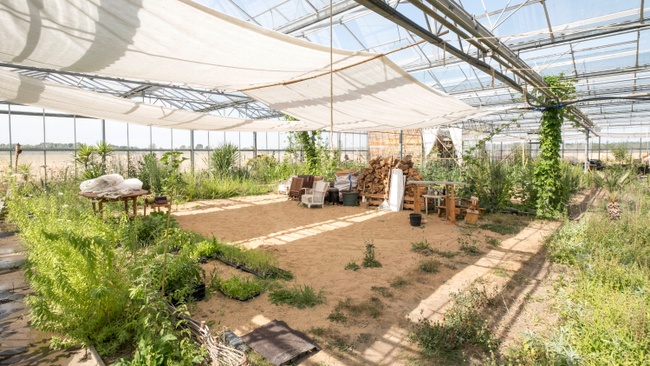 Yoga Workshop im Gewächshaus im Westen von Köln