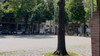 Lange Reihe - Carl-von-Ossietzky-Platz