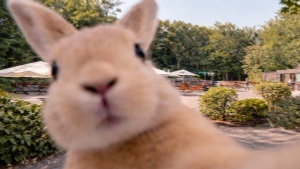 Osterspaß am Freischütz