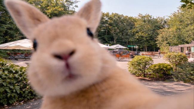 Osterspaß am Freischütz