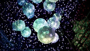 💜 RAW FREQUENCIES by SNR 💚