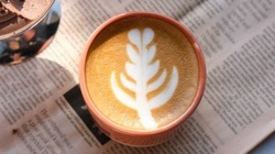 Kuckuck und Esel - Café