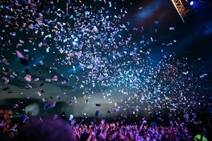 Spring Festival by Goodlife