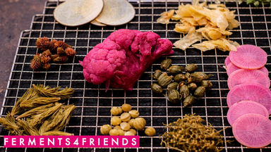 Naturwein & Fermente Tasting: Ferments 4 Friends 🍷