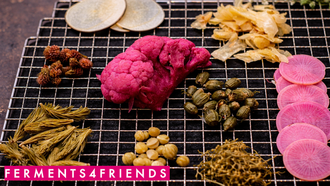Ferments 4 Friends