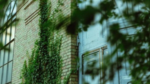 Garten Opening | Diffrent & Friends