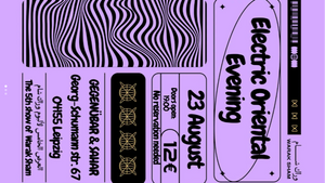Electronic Oriental Evening