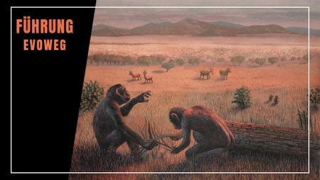 Führung über den Evolutionsweg auf der Grünewaldstrasse am Aquazoo Löbbecke Mueum