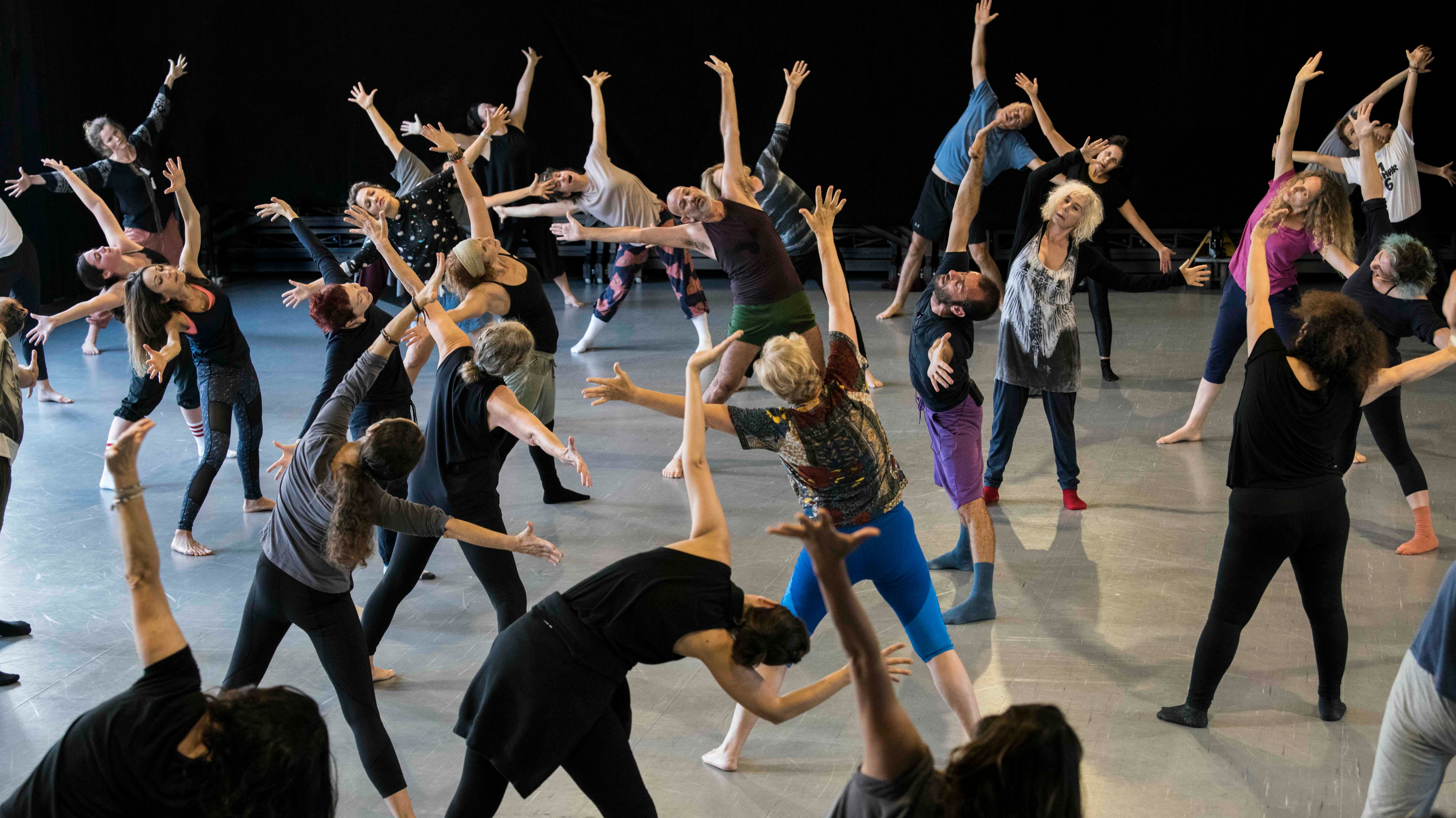 GAGA Workshop mit Saar Harari