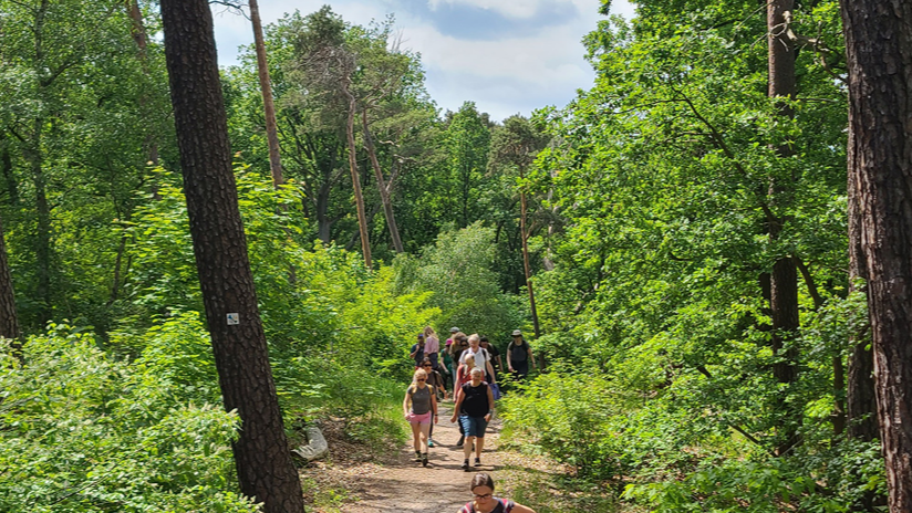 Familien-Wanderung und Jause