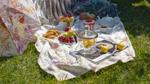 Mitbringpicknick im Park der Rochdale-Kaserne