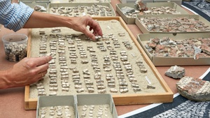 Führung durch die Schaurestaurierung "Medusen-Mosaik"